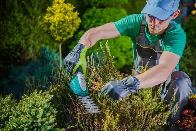 landscaping services Shepherdsville